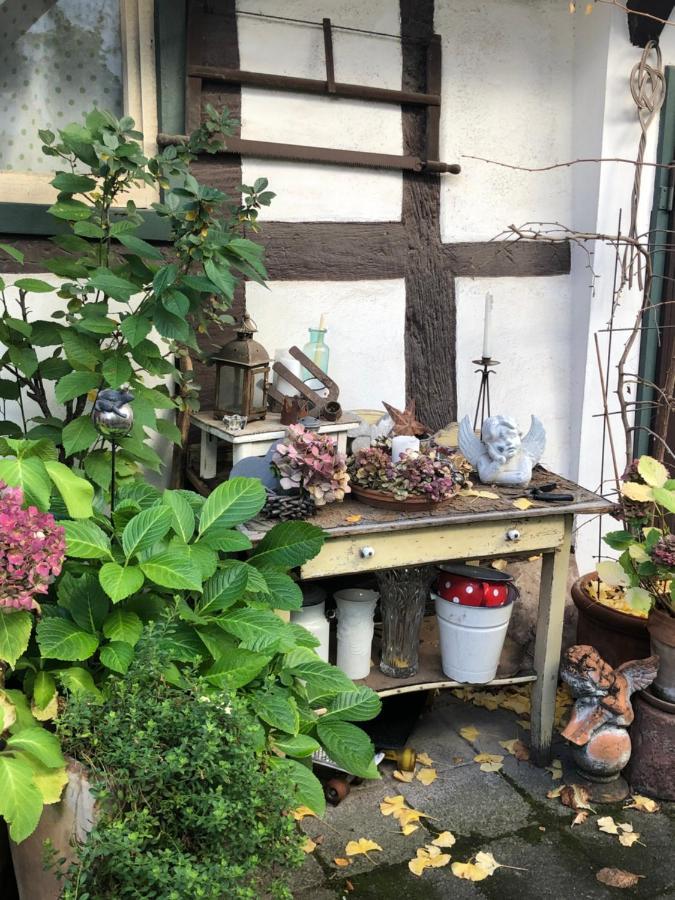Platzhirsch Seligenstadt - Im Herzen Der Altstadt 외부 사진